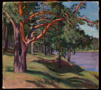 Władysław Majewski - Forest on the Neman I - 183473 MNW - National Museum in Warsaw