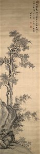 Xiang Shengmo - Wutong Tree, Bamboo, and Rock - 1987.23.1 - Yale University Art Gallery