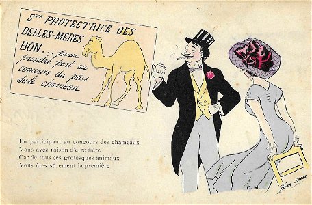 Xavier Sager Concours des chameaux