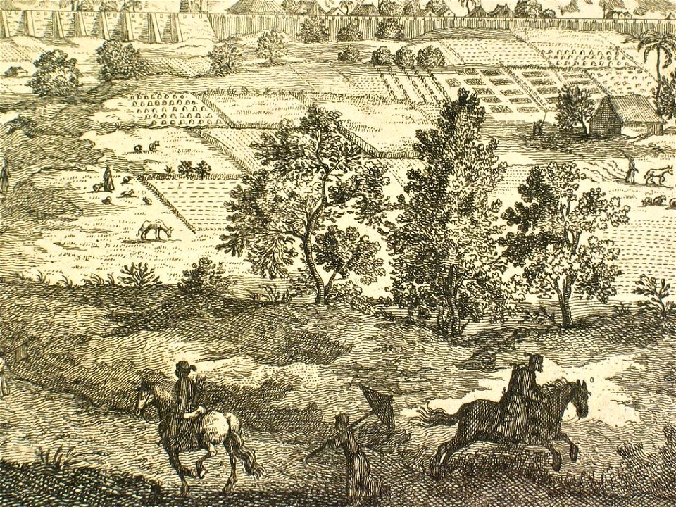 Xpekingdetail3