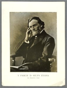 Y Parch. D. Silyn Evans (5292108)