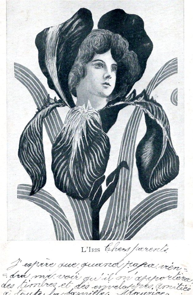 Xavier Sager L'Iris