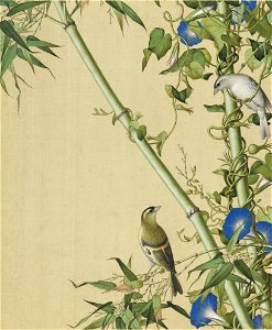 Xian'e Changchun Album 09