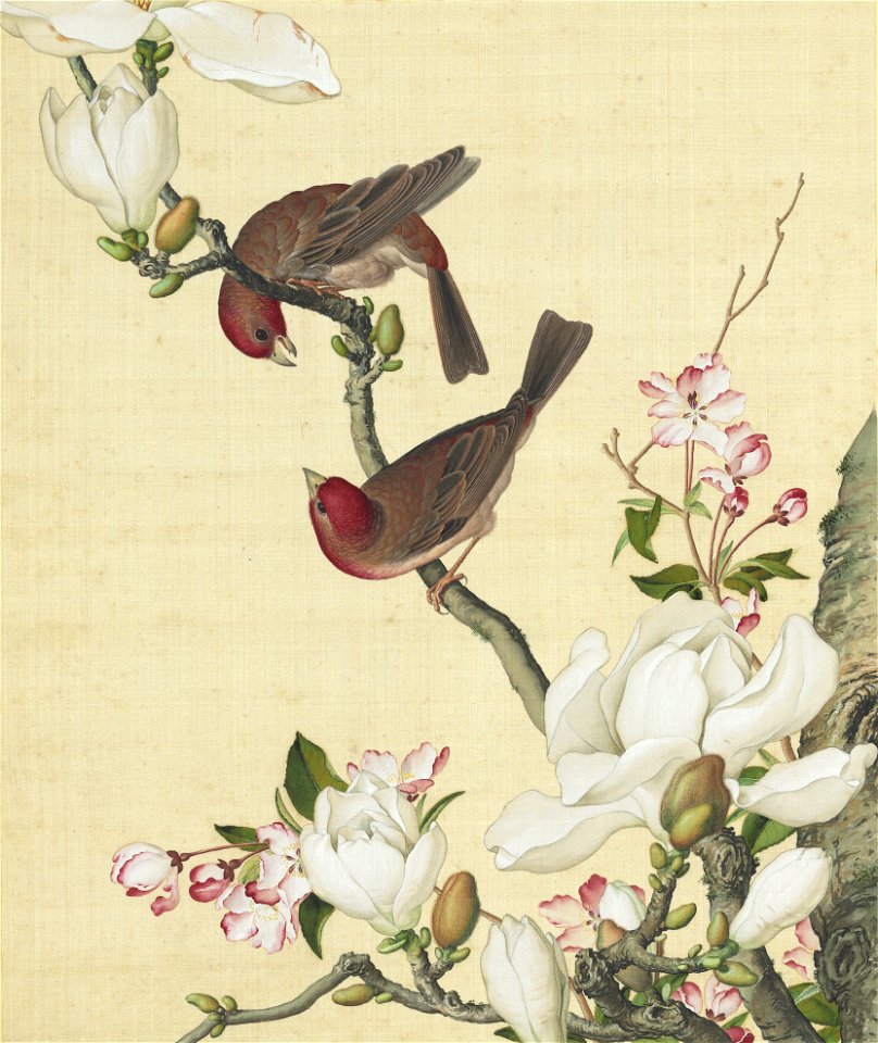 Xian'e Changchun Album 13