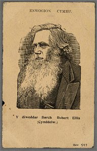 Y diweddar Barch. Robert Ellis (Cynddelw) (5293974)