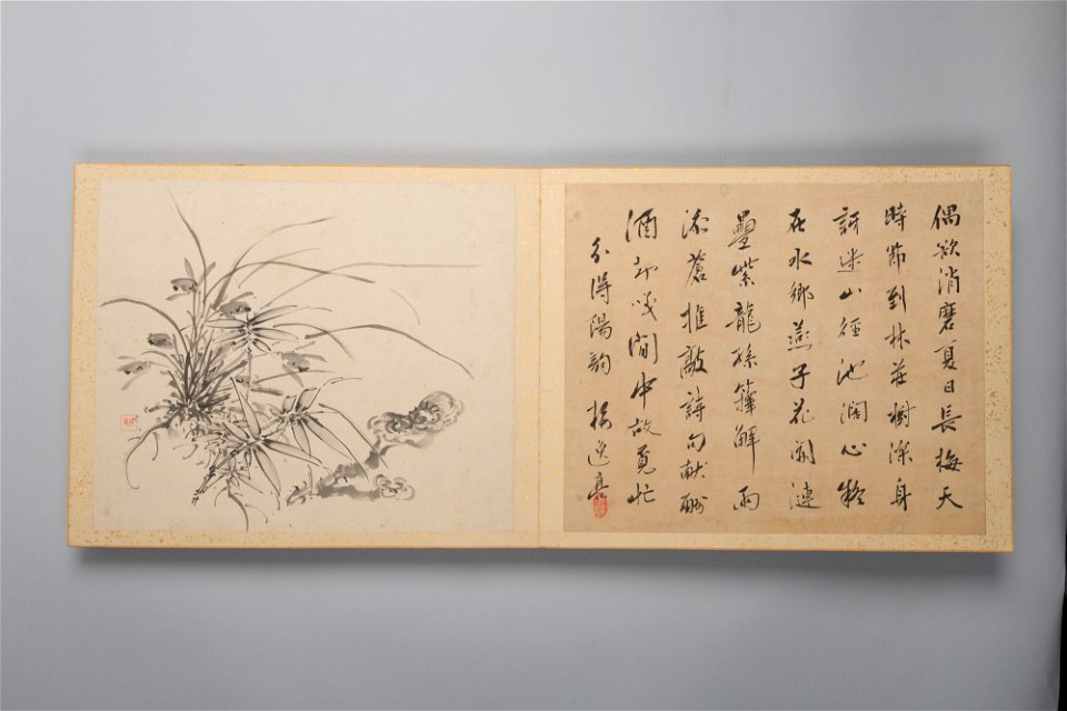 Yamamoto Baiitsu - Refined Elegance in the Four Seasons (Shiji seiga), Album of Flower Paintings - 2015.500.9.48 - Metropolitan Museum of Art