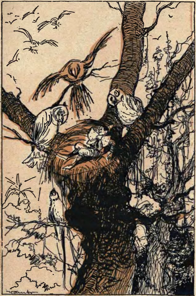 Yambo, Ciuffettino (page 209 crop)