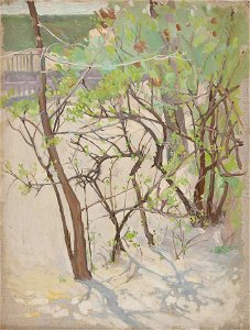 Yaremich Spring Landscape