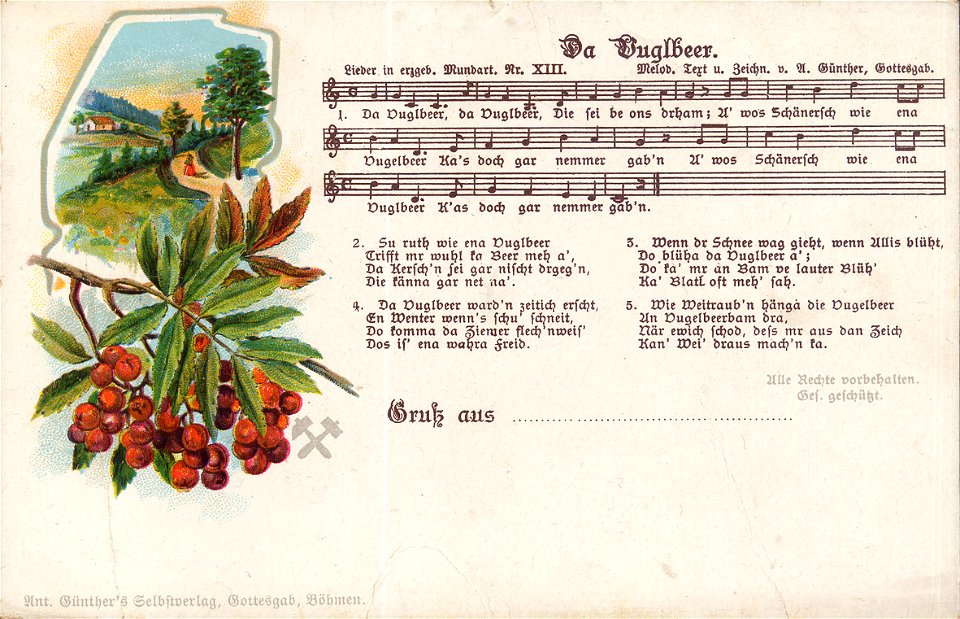 XIII - Da Vuglbeer 1903