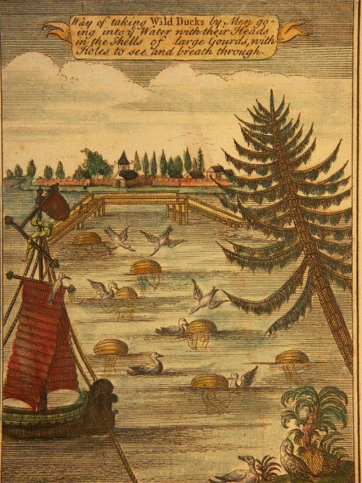 Xwildduckhunting