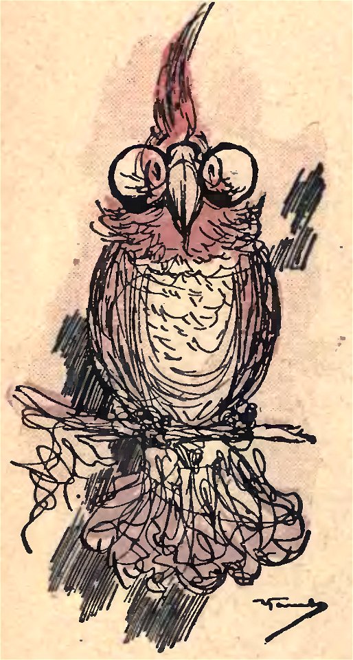 Yambo, Ciuffettino (page 226 crop)
