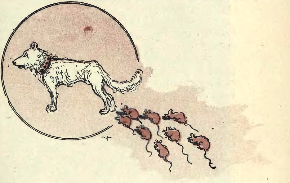 Yambo, Ciuffettino (page 141 crop)