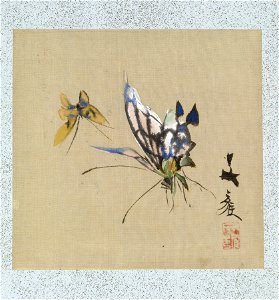 Yoshizawa Setsuan - Leaf from Album Depicting Birds, Flowers, Landscapes, and Flower Pots - Walters 3517417A