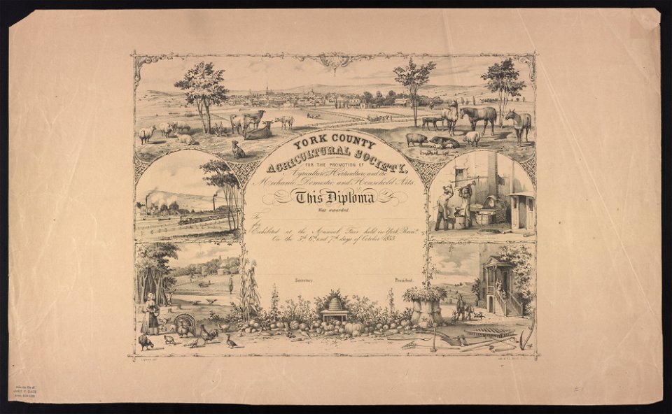 York County Agricultural Society, for the promotion of agriculture, horticulture, and the mechanic, domestic, and household arts - J. Queen delt. ; lith. of P.S. Duval & Co. LCCN2013650011