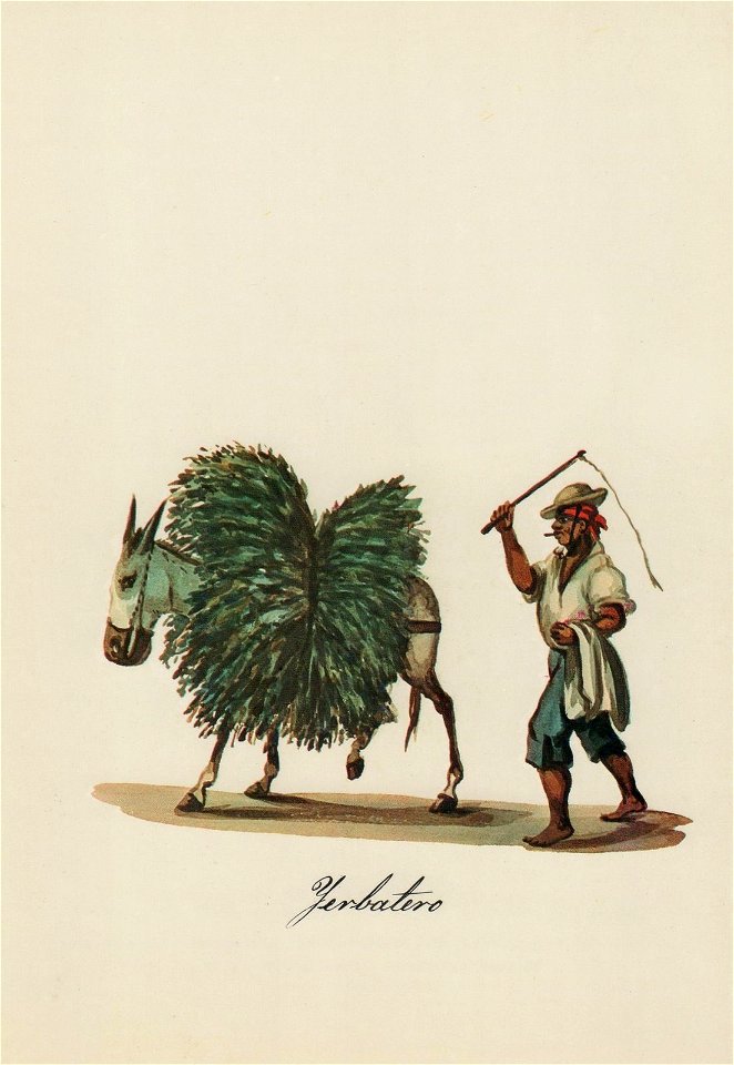 Yerbatero