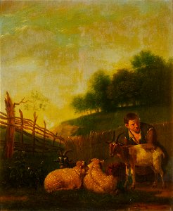 Young Shepherd Milking a Goat after Karel Dujardin Mauritshuis 75. Free illustration for personal and commercial use.