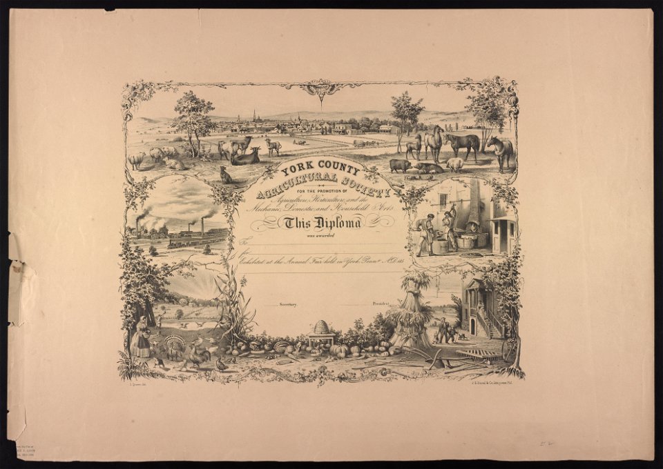 York County Agricultural Society for the promotion of agriculture, horticulture, and the mechanic, domestic, and household arts - J. Queen del. ; P.S. Duval & Co. Lith press Phil. LCCN2013650012