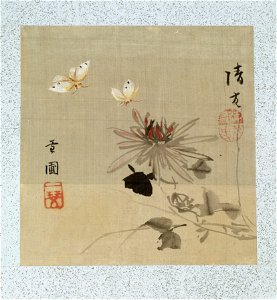 Yoshizawa Setsuan - Leaf from Album Depicting Birds, Flowers, Landscapes, and Flower Pots - Walters 3517411A