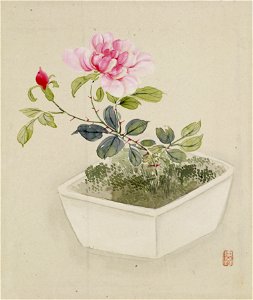 Yoshizawa Setsuan - Leaf from Album Depicting Birds, Flowers, Landscapes, and Flower Pots - Walters 351743B