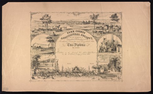 York County Agricultural Society, for the promotion of agriculture, horticulture, and the mechanic, domestic, and household arts - J. Queen delt. ; lith. of P.S. Duval & Co. LCCN2013650011