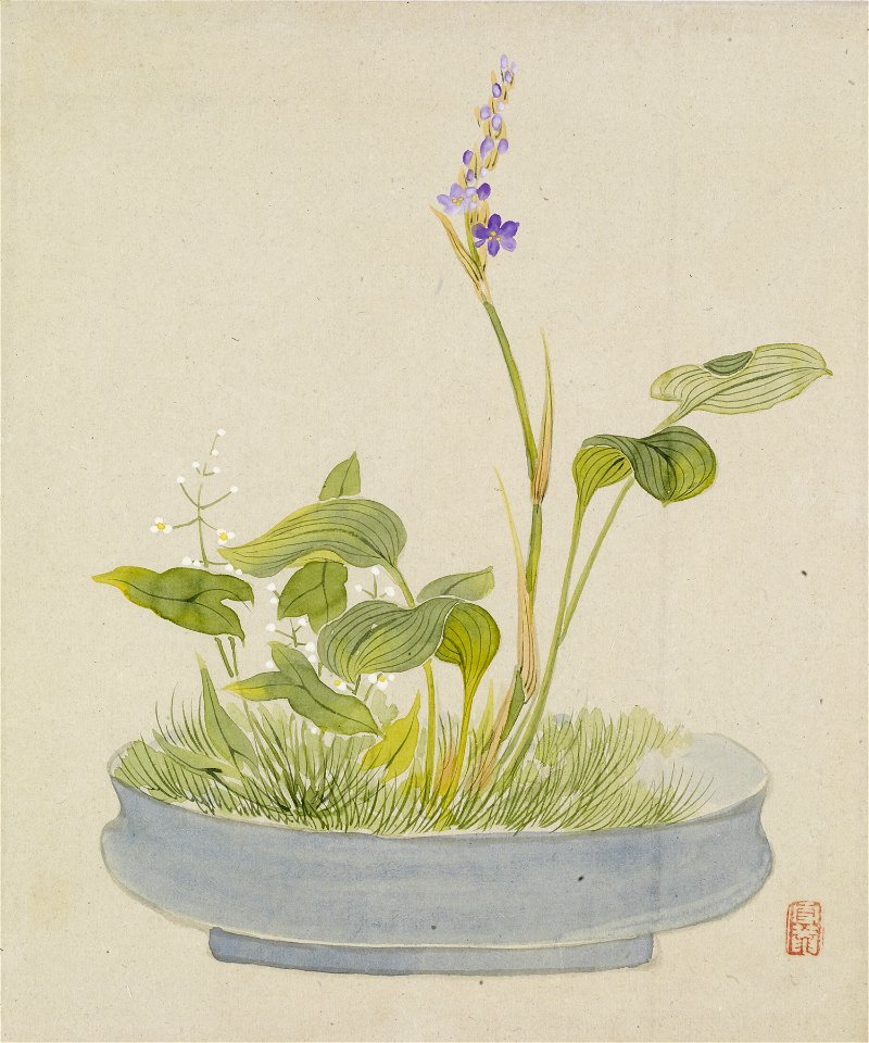Yoshizawa Setsuan - Leaf from Album Depicting Birds, Flowers, Landscapes, and Flower Pots - Walters 351749B