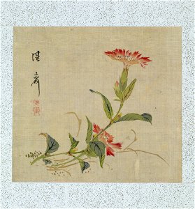 Yoshizawa Setsuan - Leaf from Album Depicting Birds, Flowers, Landscapes, and Flower Pots - Walters 3517413A
