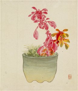 Yoshizawa Setsuan - Leaf from Album Depicting Birds, Flowers, Landscapes, and Flower Pots - Walters 3517415B