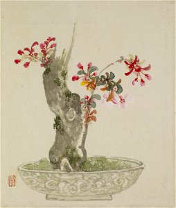 Yoshizawa Setsuan - Leaf from Album Depicting Birds, Flowers, Landscapes, and Flower Pots - Walters 351746B