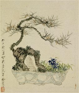 Yoshizawa Setsuan - Leaf from Album Depicting Birds, Flowers, Landscapes, and Flower Pots - Walters 3517418B