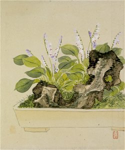 Yoshizawa Setsuan - Leaf from Album Depicting Birds, Flowers, Landscapes, and Flower Pots - Walters 3517412B