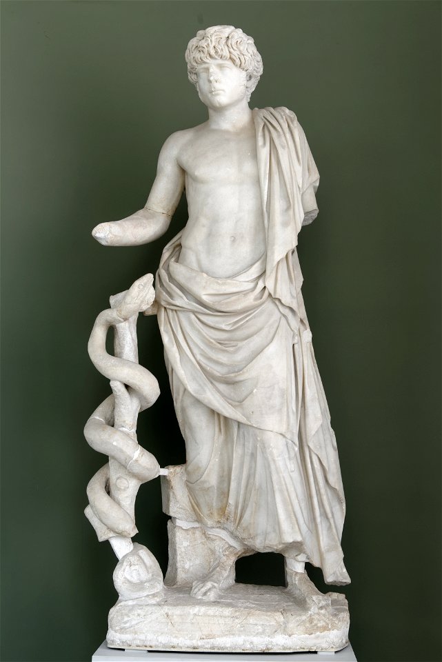 Young man as Asklepios Ny Carlsberg Glyptotek IN714
