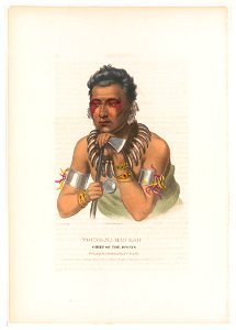 Young Ma-Has-Kah, chief of the Ioways - (paint)ed by C.B. King ; on stone by A. Newsam ; Lehman & Duval (Lithrs.) LCCN2013645364
