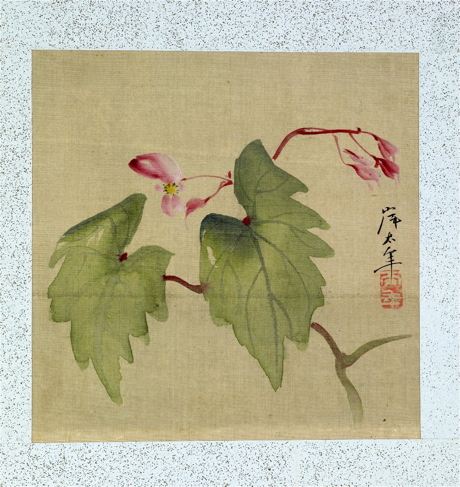 Yoshizawa Setsuan - Leaf from Album Depicting Birds, Flowers, Landscapes, and Flower Pots - Walters 3517410A