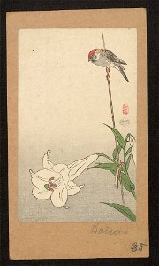 Yuri ni shōkin LCCN2008660542