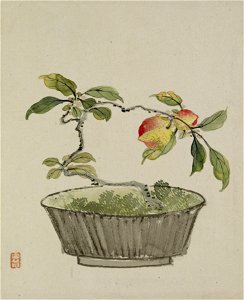 Yoshizawa Setsuan - Leaf from Album Depicting Birds, Flowers, Landscapes, and Flower Pots - Walters 351748B