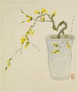 Yoshizawa Setsuan - Leaf from Album Depicting Birds, Flowers, Landscapes, and Flower Pots - Walters 351745B