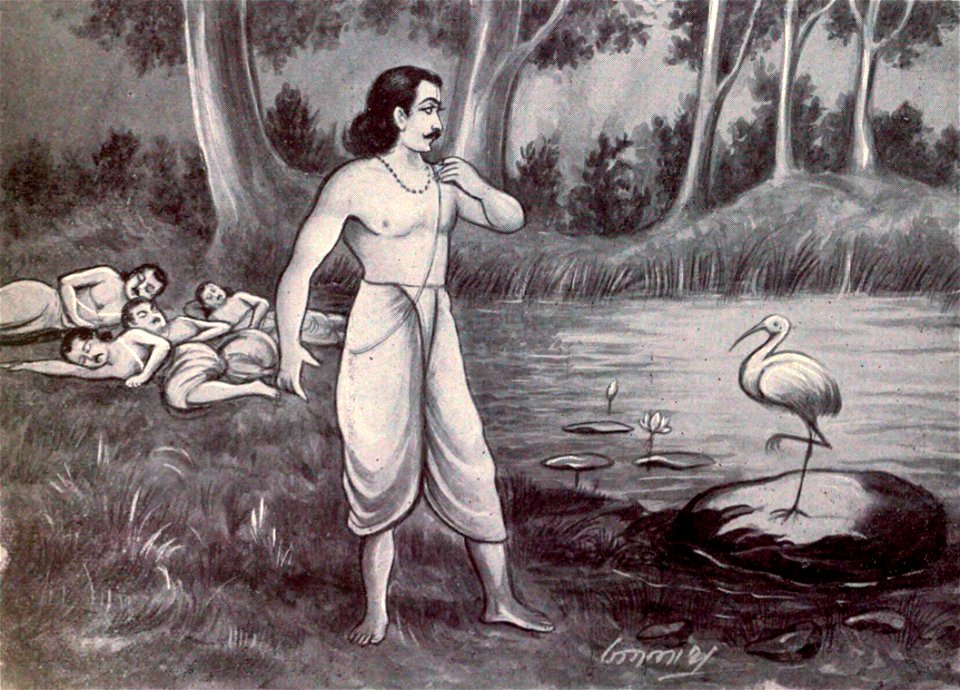Yudhistira and Yaksha