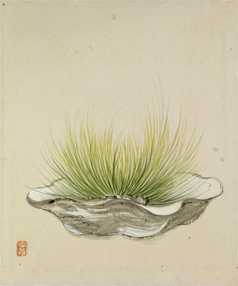 Yoshizawa Setsuan - Leaf from Album Depicting Birds, Flowers, Landscapes, and Flower Pots - Walters 3517414B