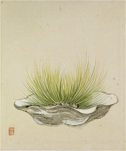Yoshizawa Setsuan - Leaf from Album Depicting Birds, Flowers, Landscapes, and Flower Pots - Walters 3517414B