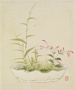 Yoshizawa Setsuan - Leaf from Album Depicting Birds, Flowers, Landscapes, and Flower Pots - Walters 3517411B