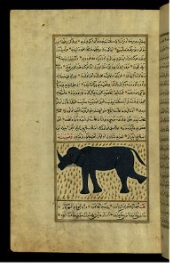 Zakariya ibn Muhammad Qazwini - A Rhinoceros - Walters W659112A - Full Page