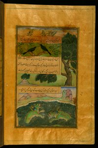 Zahir al-Din Muhammad Babur - Birds of Hindustan and Alligators - Walters W59629B - Full Page. Free illustration for personal and commercial use.