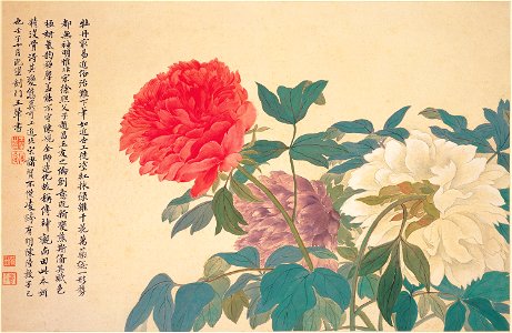 Yun Shouping, Peonies. Free illustration for personal and commercial use.