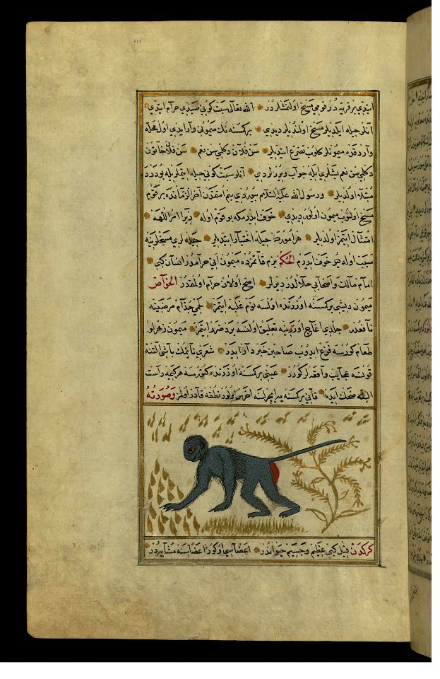 Zakariya ibn Muhammad Qazwini - A Monkey - Walters W659111A - Full Page