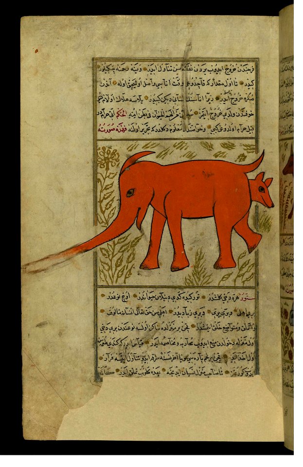 Zakariya ibn Muhammad Qazwini - An Elephant-like Animal - Walters W659104A - Full Page