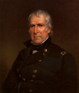 Zachary Taylor 2. Free illustration for personal and commercial use.
