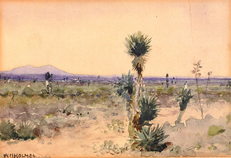 Yuccaland--Chihuahua, Mexico SAAM-1970.290 1