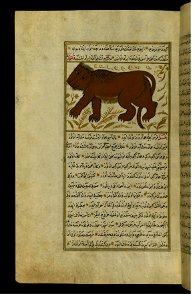 Zakariya ibn Muhammad Qazwini - A Lion - Walters W65980A - Full Page