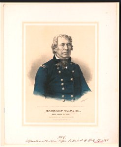 Zachary Taylor. Major general U.S. Army - A. Hoffmann. LCCN2013645212