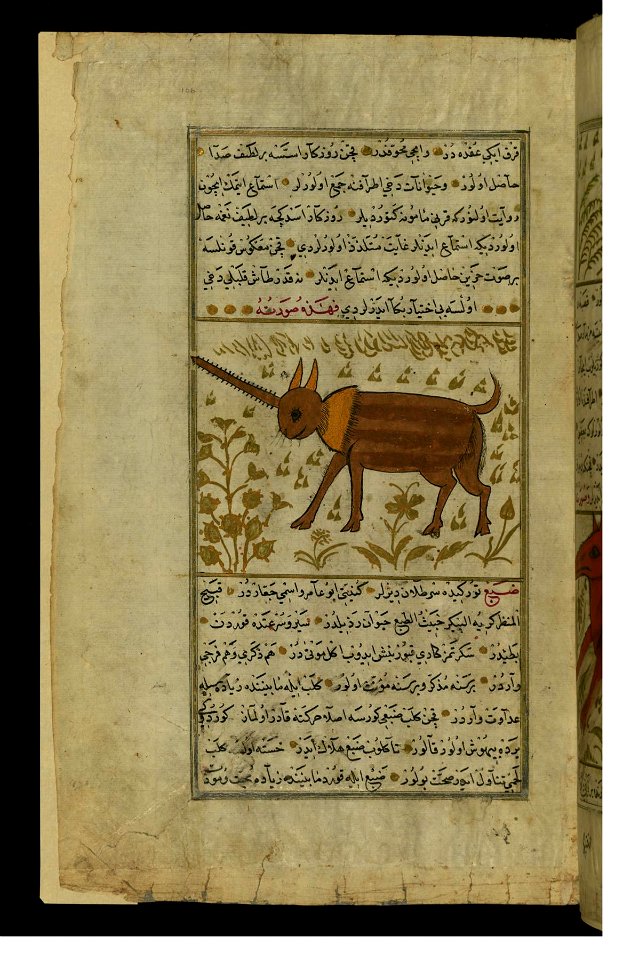 Zakariya ibn Muhammad Qazwini - An Animal with One Horn Aras - Walters W659106A - Full Page